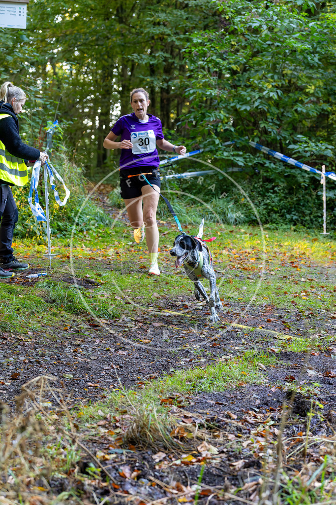 Pfotenfotografie_DV3A6642 | Hundefotografie, Tierfotograf, Pfotenfotografie, Fotoshooting Hund, Hunde Portrait, Hundesport, Hundeportraits, Heideshooting, Hunde, Sportfotograf, Hundefotograf, Turnierhundsport, THS,  - Realisiert mit Pictrs.com