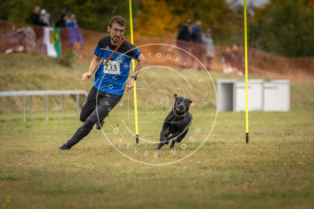 Pfotenfotografie_DV3A5144 | Hundefotografie, Tierfotograf, Pfotenfotografie, Fotoshooting Hund, Hunde Portrait, Hundesport, Hundeportraits, Heideshooting, Hunde, Sportfotograf, Hundefotograf, Turnierhundsport, THS,  - Realisiert mit Pictrs.com
