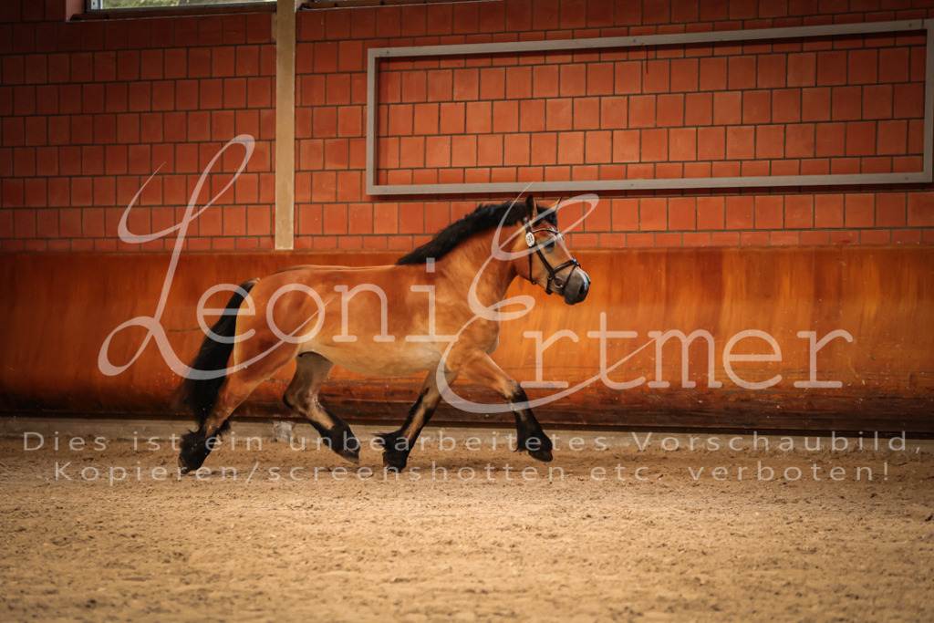 SaFL00189 | Leoni Ertmer Photography - Realisiert mit Pictrs.com