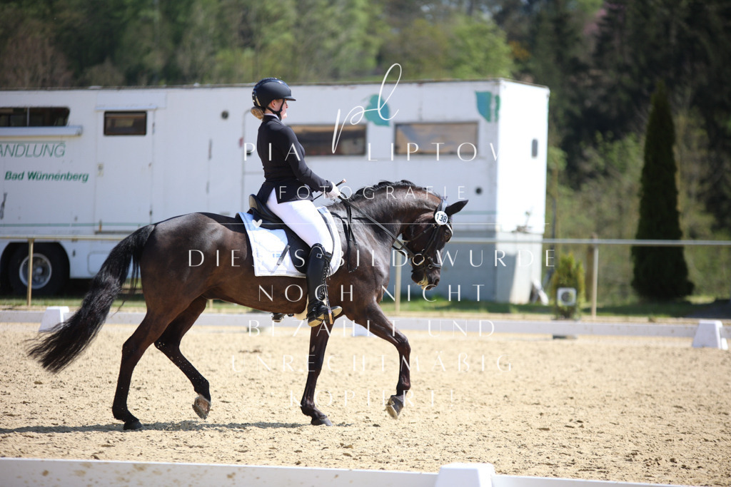 IMGT7246 | pl-fotografie