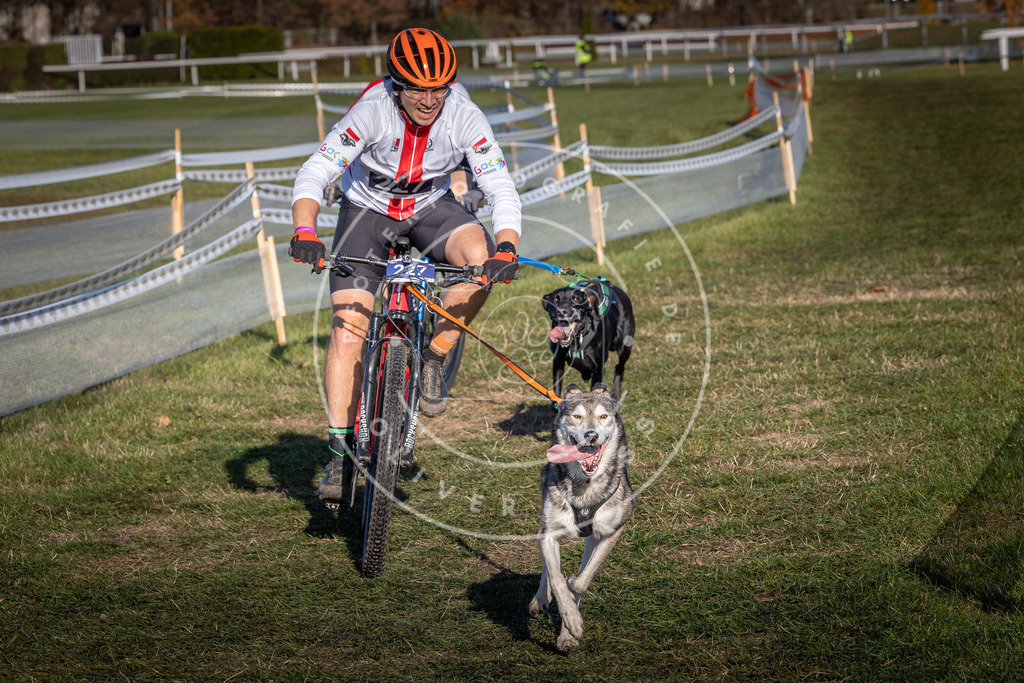 CaniXpix_0L8A4697 | Hundefotografie, Tierfotograf, Pfotenfotografie, Fotoshooting Hund, Hunde Portrait, Hundesport, Hundeportraits, Heideshooting, Hunde, Sportfotograf, Hundefotograf, Turnierhundsport, THS,  - Realisiert mit Pictrs.com