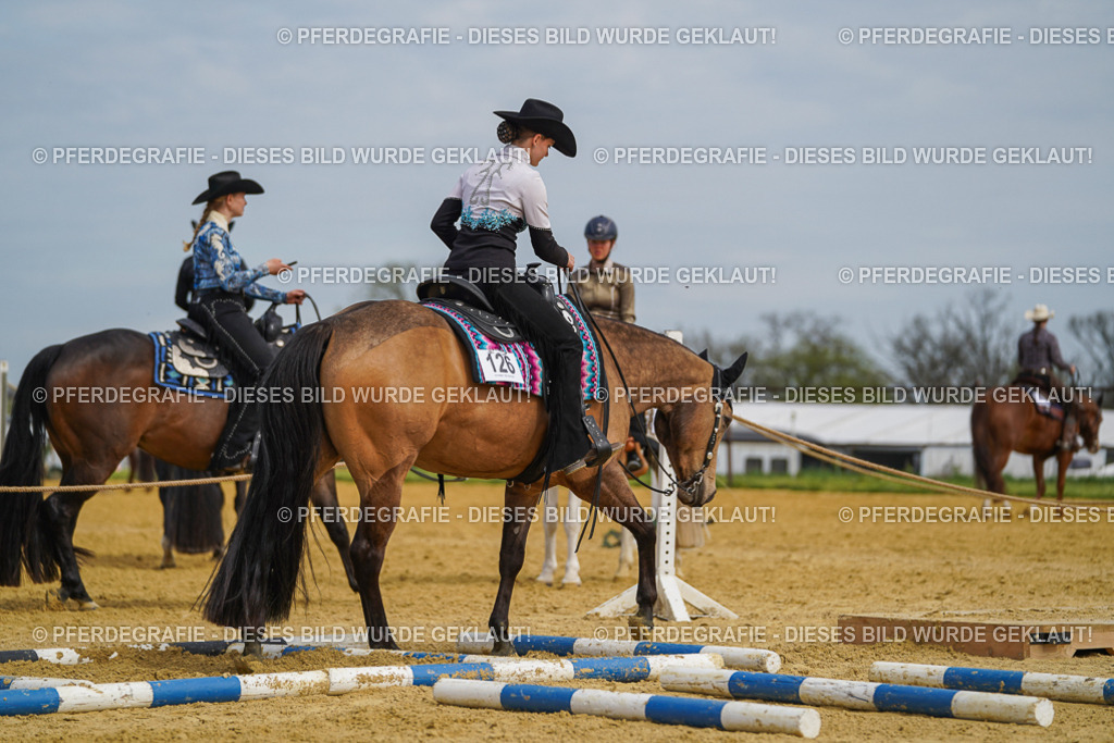 DSC03705 | Pferdegrafie