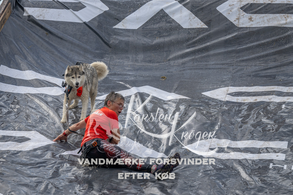 1112_ZZ92833 | kk-dogfotos