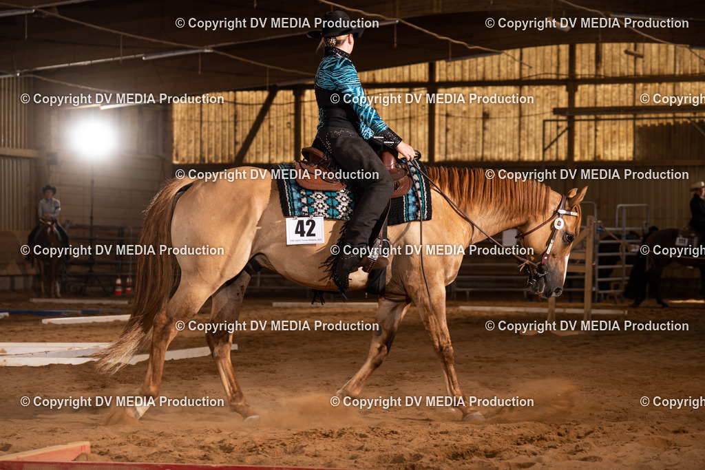 NID00580 | dv-media-shop - Realisiert mit Pictrs.com