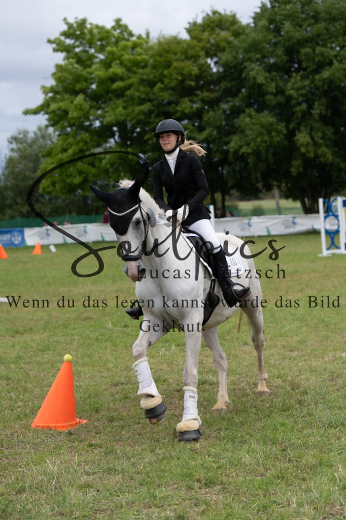 A7V06127 | Pferdefotograf