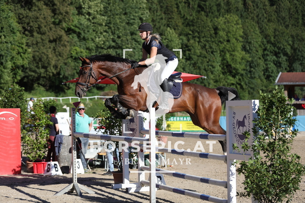 0P6A7524 | Willkommen bei Brunnmayr - Design & Fotografie – Ihrem Spezialisten für Reitturniere und Pferdeveranstaltungen in Oberösterreich, Salzburg und Bayern! Seit über 17 Jahren sind wir leidenschaftlich dabei.