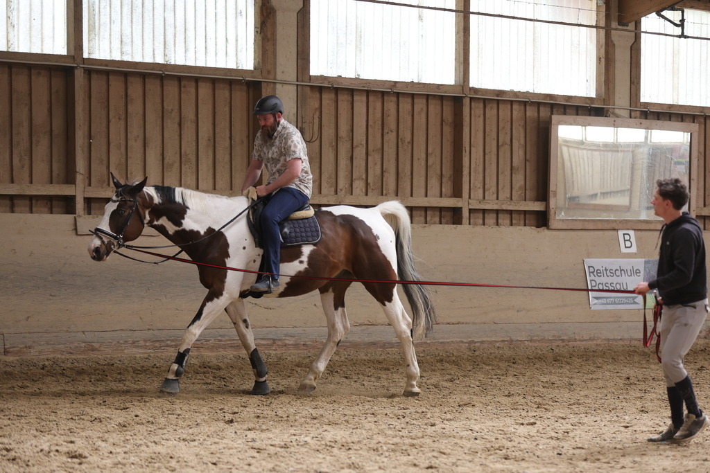 0P6A9040 | Willkommen bei Brunnmayr - Design & Fotografie – Ihrem Spezialisten für Reitturniere und Pferdeveranstaltungen in Oberösterreich, Salzburg und Bayern! Seit über 17 Jahren sind wir leidenschaftlich dabei.