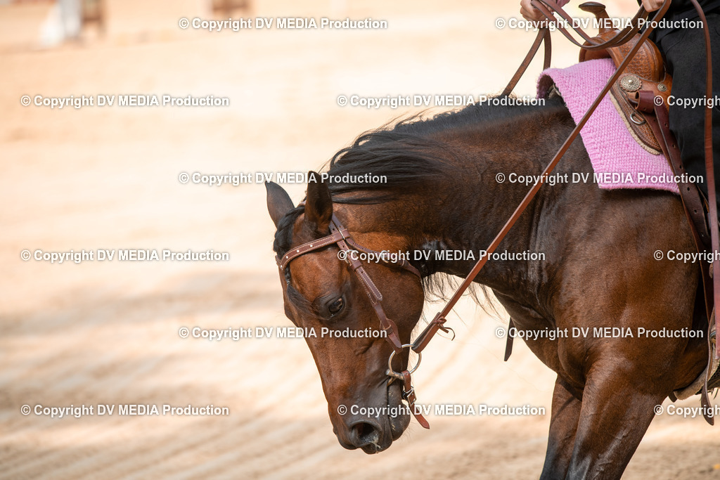 ZS2_8756 | dv-media-shop - Realisiert mit Pictrs.com