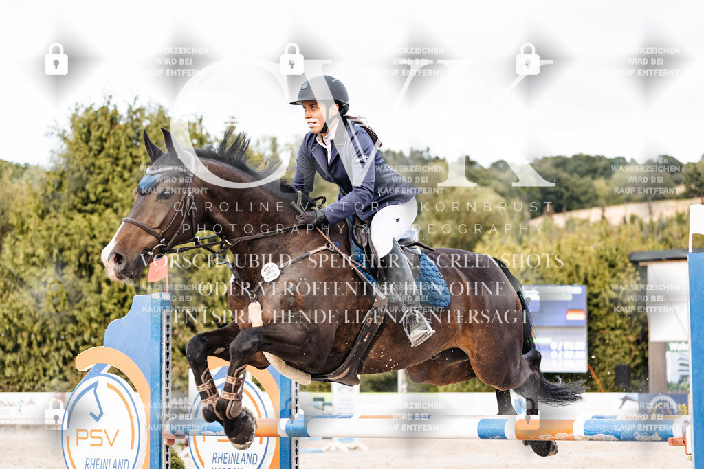 CK903810 | Turnierfotografie Pferdefotografie Trier Rheinland-Pfalz Pferdesport Reitsport Tierfotografie Sportfotografie Pferdevideo Pferdevideografie Equestrianvideography equestrianphotography  - Realisiert mit Pictrs.com