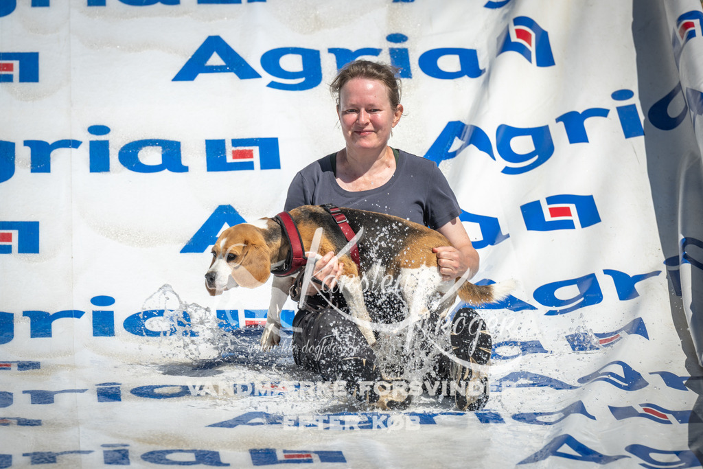 1333_ZZ90467 | kk-dogfotos