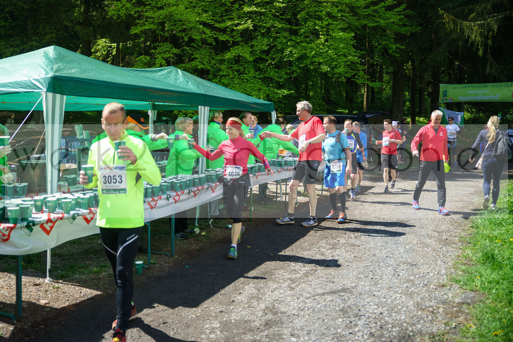 Rennsteiglauf 2017 | Neuhaus/Rwg. - Schmiedefeld am 19. Mai 2017