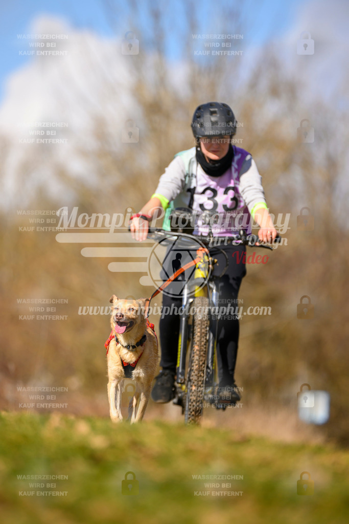 MompixPhotography_10Schwabentrail2026_SO_Bike-113 | PayLife