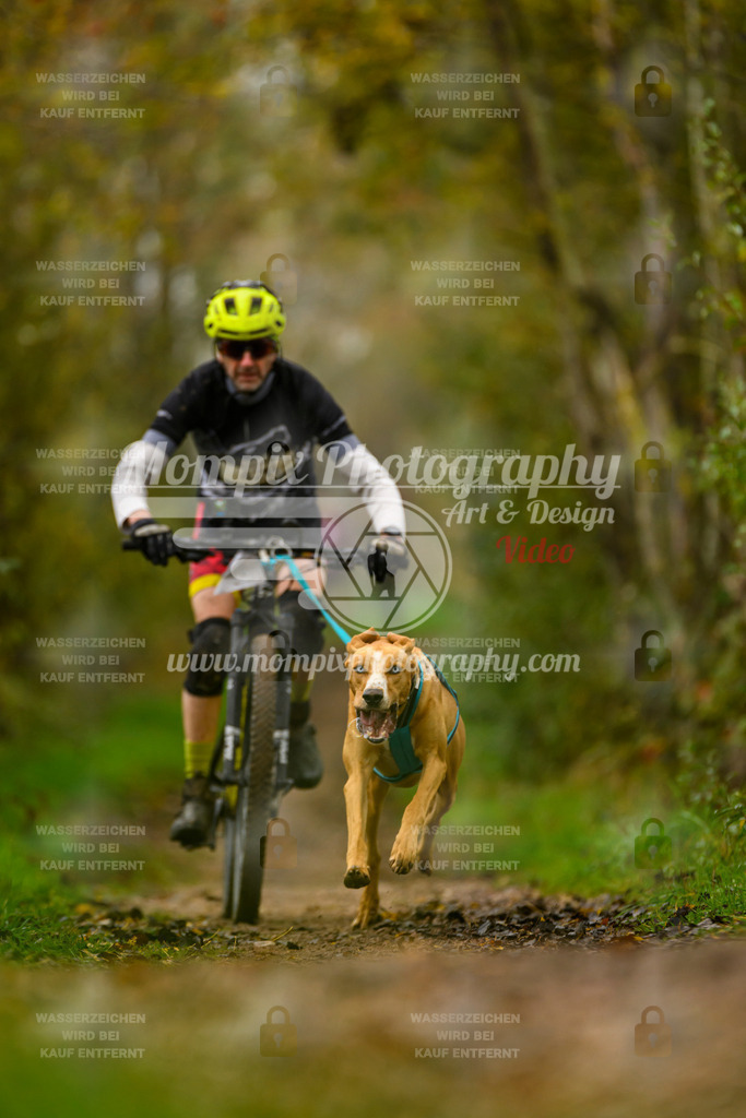 MompixPhotography_20TSB_E6_Bike-27 | PayLife
