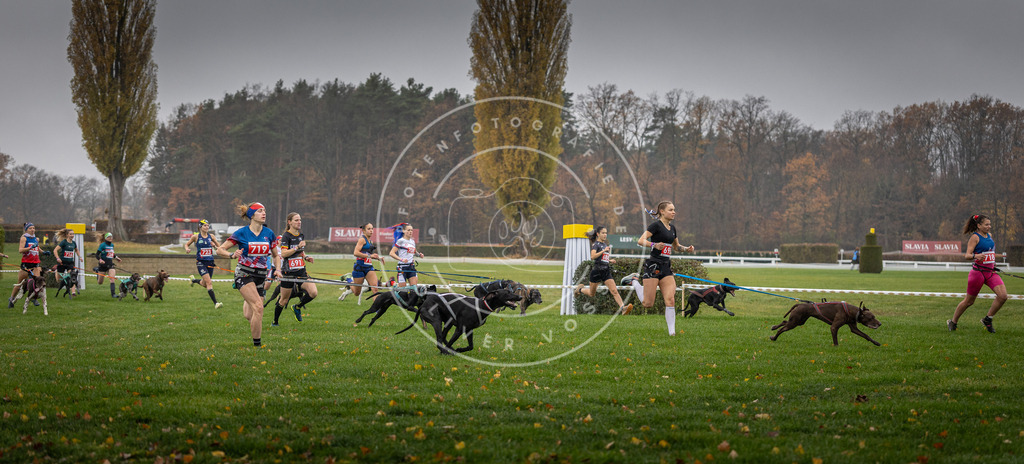 CaniXpix_DV3A8756 | Hundefotografie, Tierfotograf, Pfotenfotografie, Fotoshooting Hund, Hunde Portrait, Hundesport, Hundeportraits, Heideshooting, Hunde, Sportfotograf, Hundefotograf, Turnierhundsport, THS,  - Realisiert mit Pictrs.com