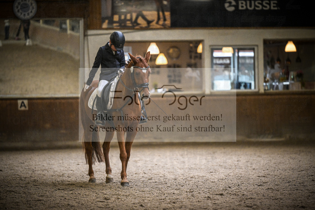 DOS_1416 | Entdecke hochwertige Reitturnierfotos von Foto Oger. Professionell, emotional und authentisch – jetzt Lieblingsmomente im Shop bestellen.Deutschlandweite Turnierfotografie. - Realisiert mit Pictrs.com