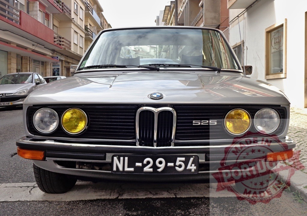 Silver BMW 525 parked on a narrow street showcasing its iconic design | Classic silver BMW 525 parked on a narrow European street, highlighting its vintage charm and iconic design - Realized with Pictrs.com
