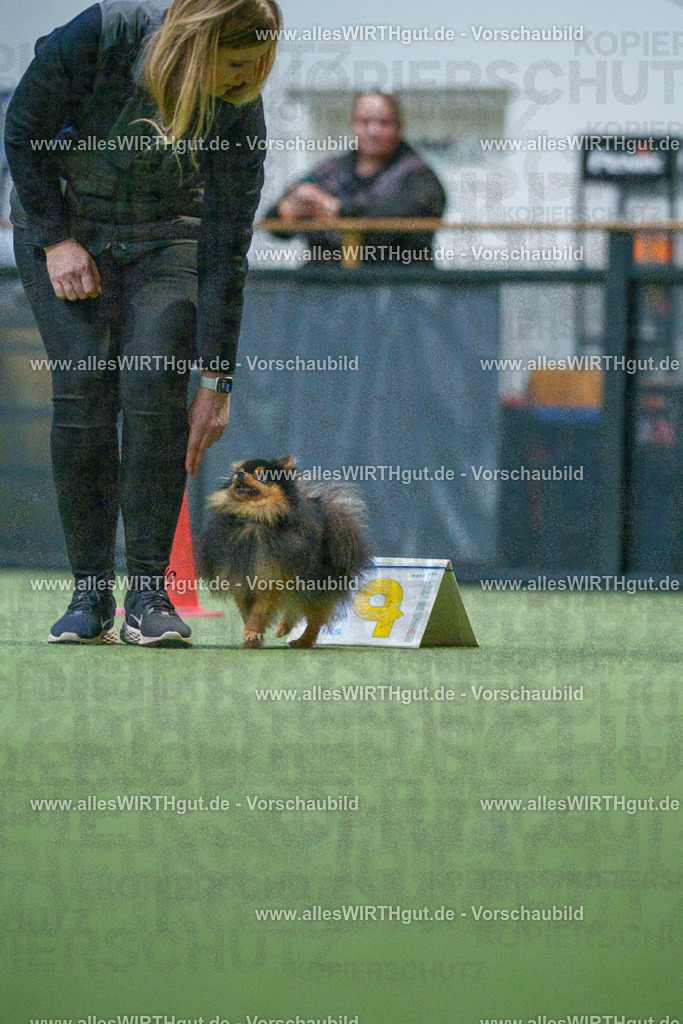 7R503532 | Professionelle Tierfotografie in Mönchengladbach von Daniel Wirth (allesWIRTHgut). Liebevolle & natürliche Bilder von Hunden & Katzen für unvergessliche Erinnerungen.