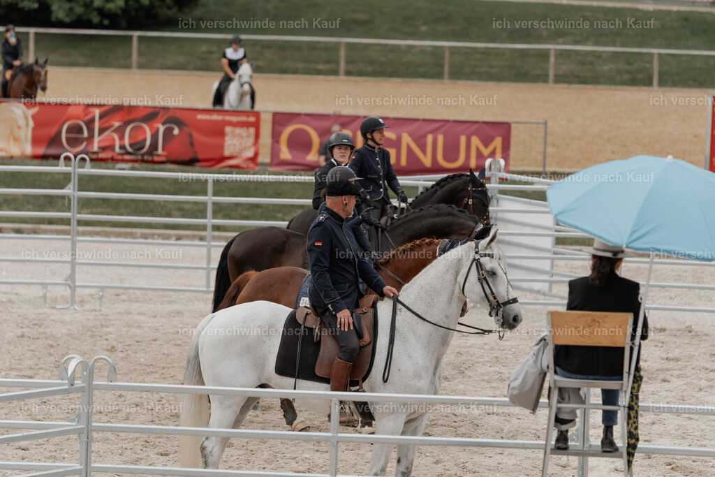 WE__Stoib_Rinder_PI2025_3113 | Pferd International München 2025