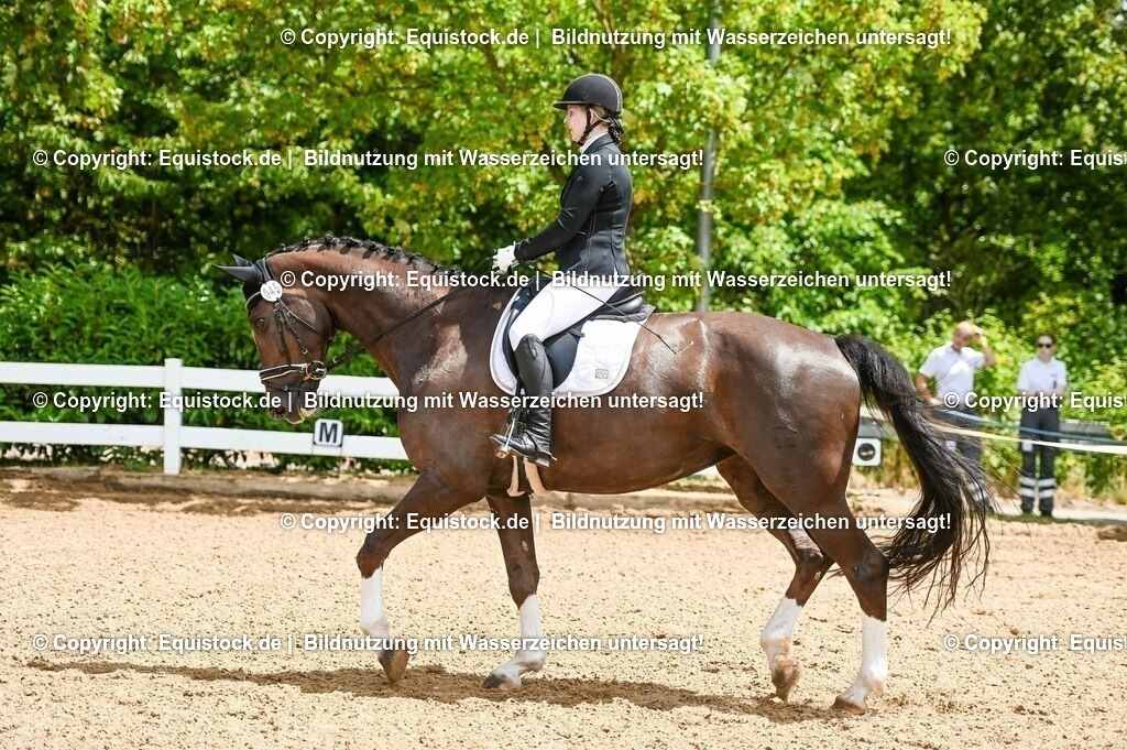20230716_03_Dressurprfg. Kl.L - Tr._0168 | equistock