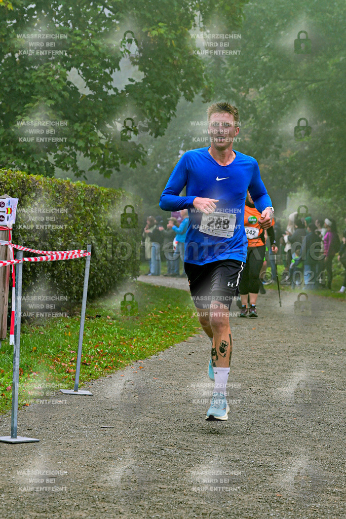 Z8N_1581 | la-psv - Realisiert mit Pictrs.com