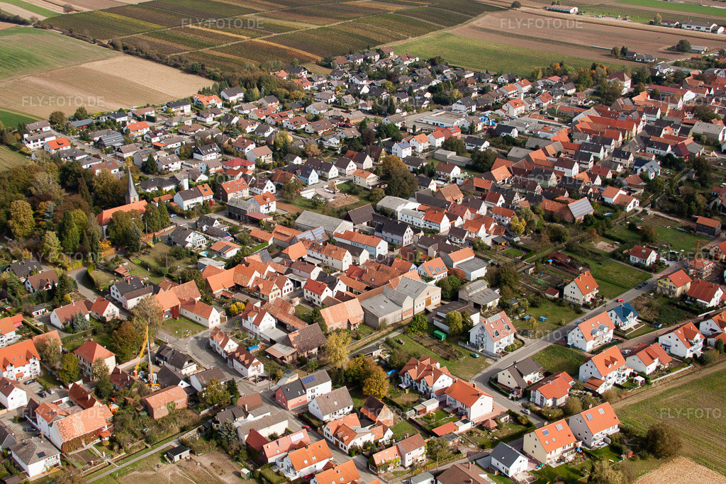 Luftbild: landwirtschaftlichen Feldern und Nutzflächen in Freckenfeld im Bundesland Rheinland-Pfalz in Deutschland. Foto: IMG_22531.jpg vom 15.10.2009 durch Werner Riehm/FLY-FOTO.de