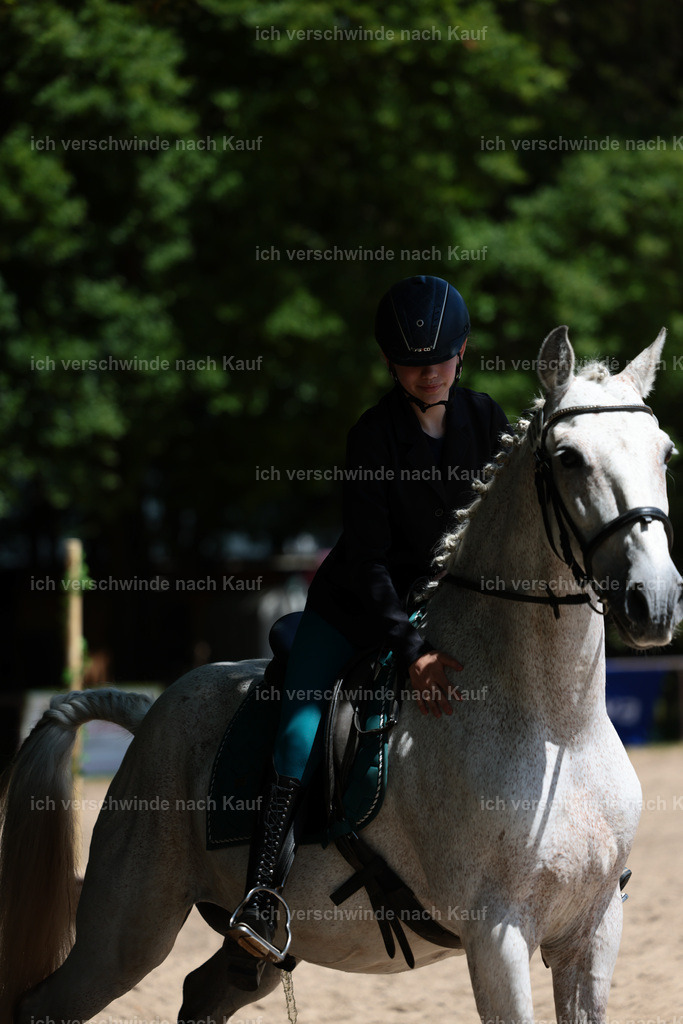 KlasseE_Stoibphotography_CAM22532.JPG | working equitationturnier fotograf videograf stoibphotography marixx film working equitation deutschland reitsport turnierfotografie eventfotografie equestrian events