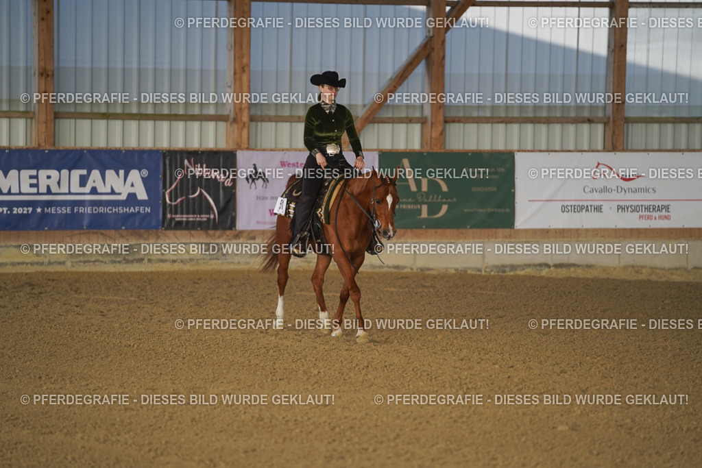 DSC08568 | Pferdegrafie