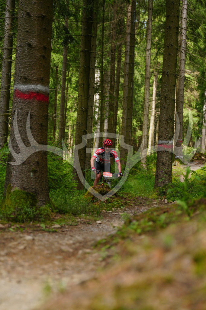FC603809 | Fotogalerie der Treibjagd im Dunkelwald - Dein MTB Etappenrennen im Erzgebirge - Realisiert mit Pictrs.com