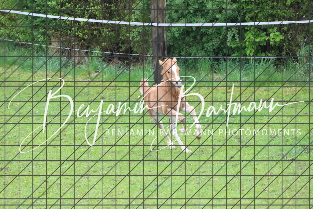 IMG_4312 | Benjamin Bartmann Photomoments