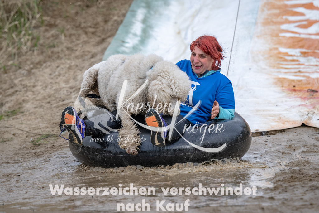 1531_ZZ94039 | kk-dogfotos