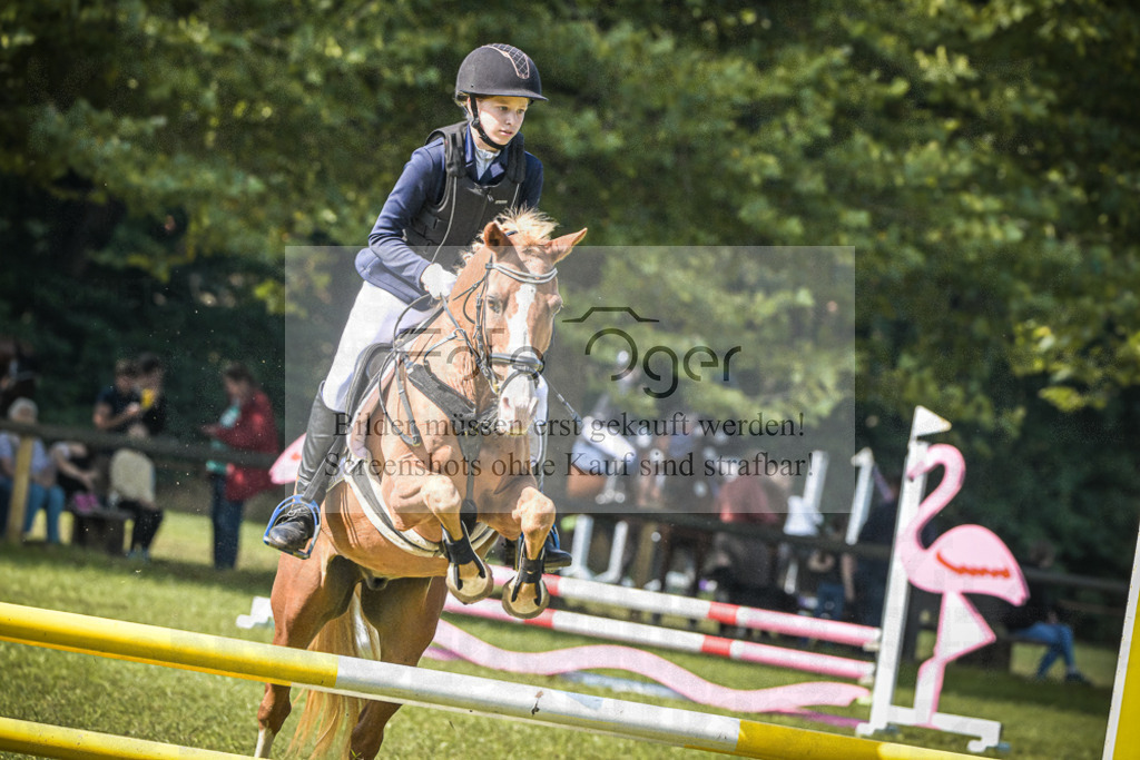 DOS_0299 | Entdecke hochwertige Reitturnierfotos von Foto Oger. Professionell, emotional und authentisch – jetzt Lieblingsmomente im Shop bestellen.Deutschlandweite Turnierfotografie. - Realisiert mit Pictrs.com