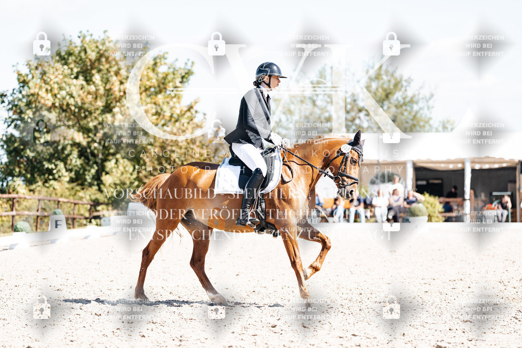 CK903578 | Turnierfotografie Pferdefotografie Trier Rheinland-Pfalz Pferdesport Reitsport Tierfotografie Sportfotografie Pferdevideo Pferdevideografie Equestrianvideography equestrianphotography  - Realisiert mit Pictrs.com