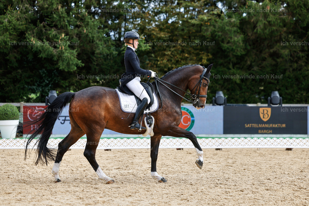 11-091-Dressur S___-StoibPH-1289 | working equitationturnier fotograf videograf stoibphotography marixx film working equitation deutschland reitsport turnierfotografie eventfotografie equestrian events