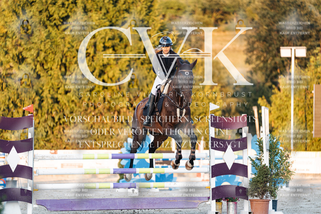 CK901283 | Turnierfotografie Pferdefotografie Trier Rheinland-Pfalz Pferdesport Reitsport Tierfotografie Sportfotografie Pferdevideo Pferdevideografie Equestrianvideography equestrianphotography  - Realisiert mit Pictrs.com