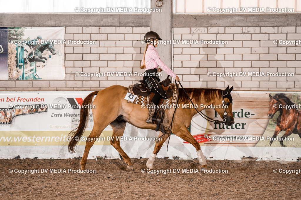 ZH200494 | dv-media-shop - Realisiert mit Pictrs.com