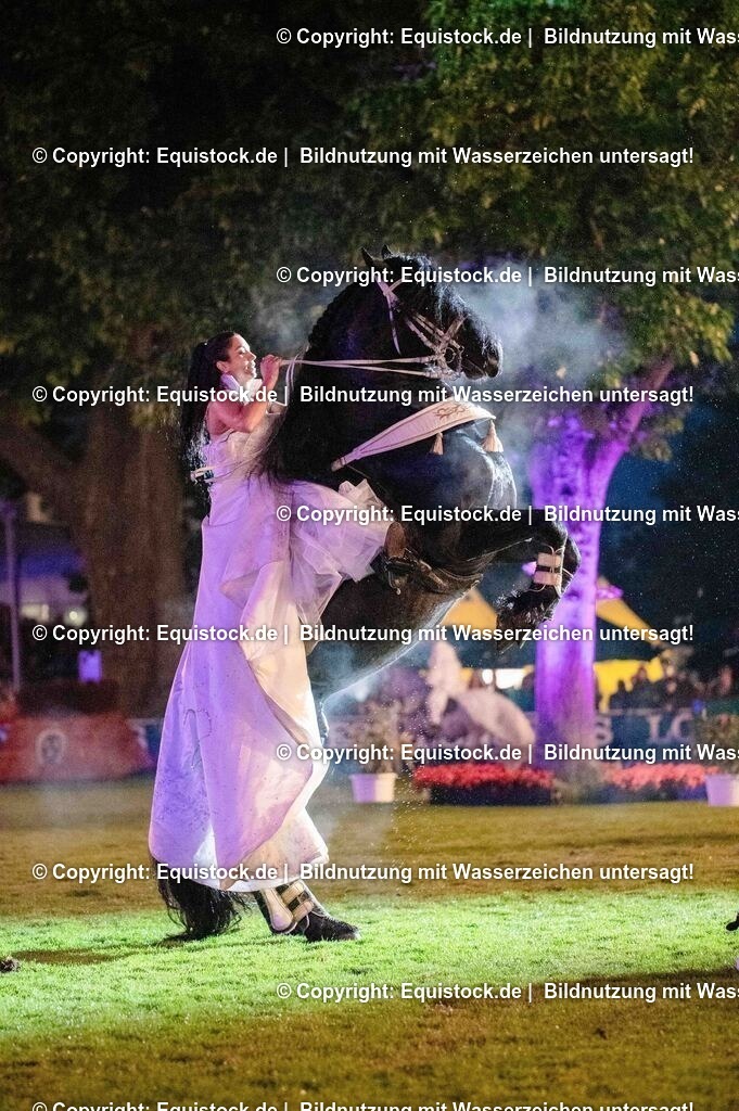 TS_20250606_Lange-Pferdenacht_1466 | Foto: Thomas Hartig