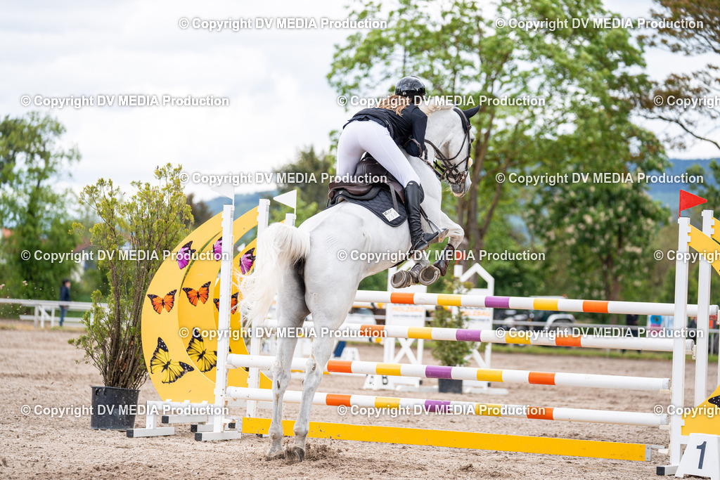 Eppelheim Tag 1-256 | dv-media-shop - Realisiert mit Pictrs.com