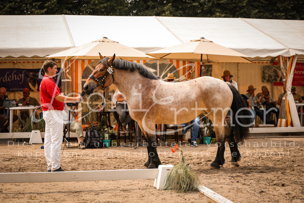 3.Sa00066 | Leoni Ertmer Photography - Realisiert mit Pictrs.com