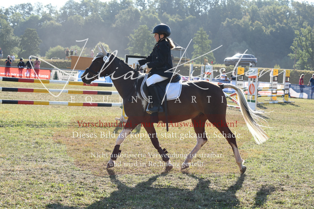 DSC_5584 | Pferde- und Turnierfotografie in Westsachsen. Pferdeportraits, Auftragszeichnungen und intuitive Kunst.