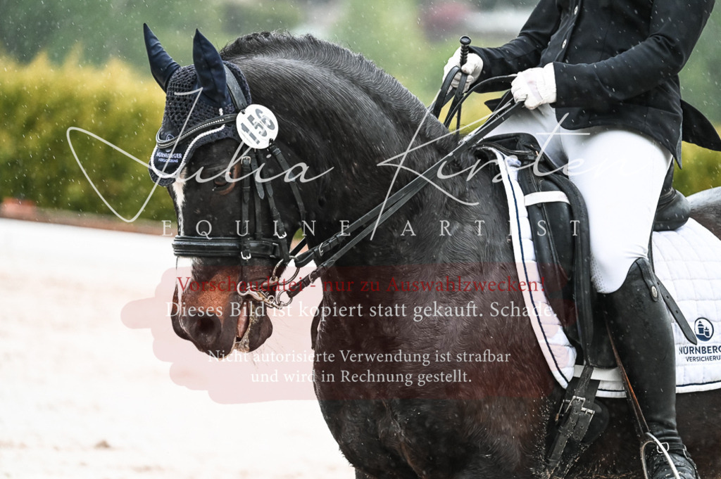 DSC_4662 | Pferde- und Turnierfotografie in Westsachsen. Pferdeportraits, Auftragszeichnungen und intuitive Kunst.