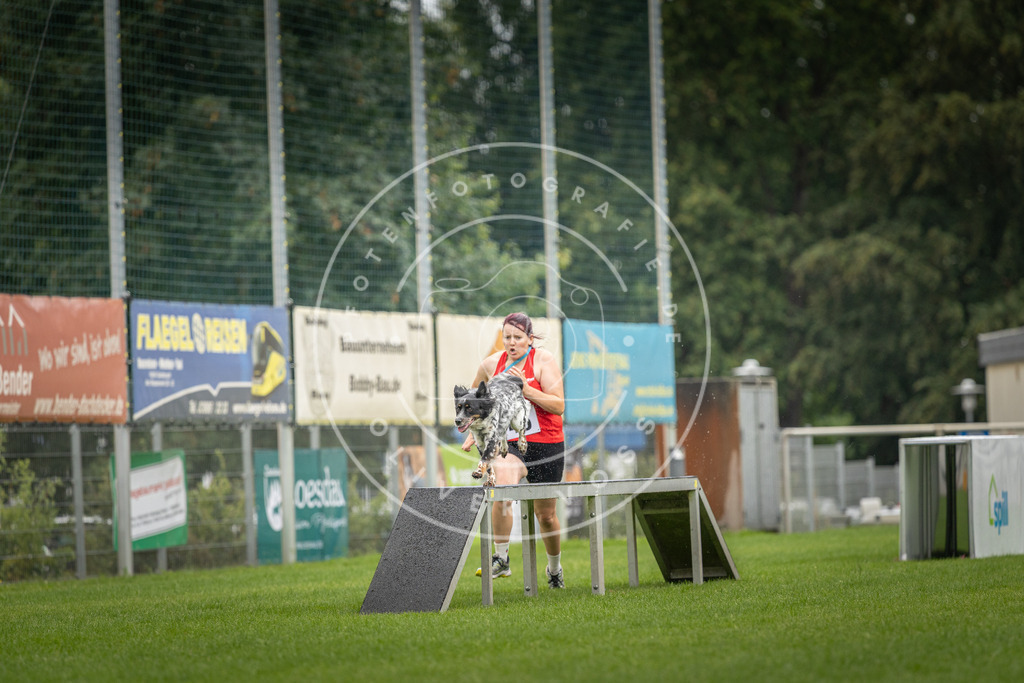Pfotenfotografie_DV3A5348 | Hundefotografie, Tierfotograf, Pfotenfotografie, Fotoshooting Hund, Hunde Portrait, Hundesport, Hundeportraits, Heideshooting, Hunde, Sportfotograf, Hundefotograf, Turnierhundsport, THS,  - Realisiert mit Pictrs.com