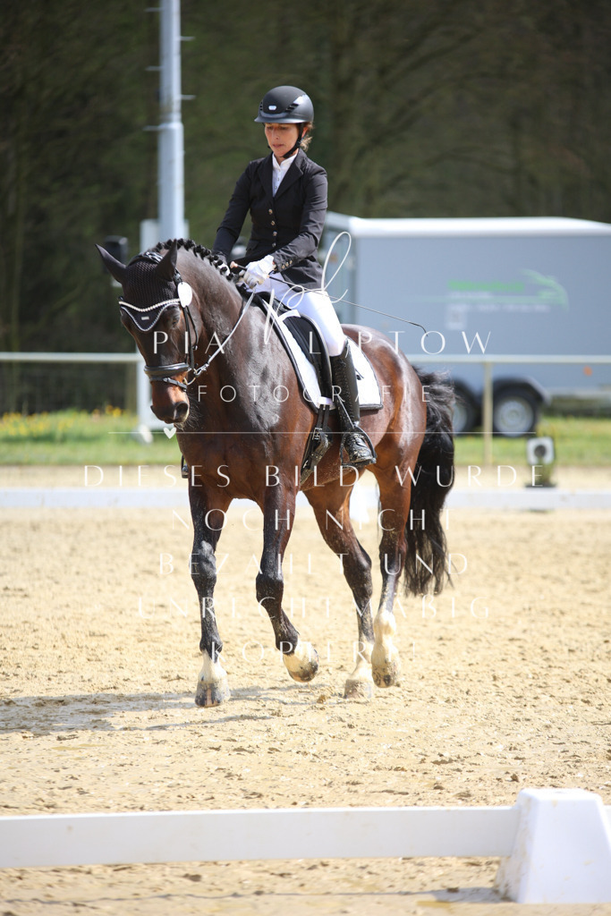 IMGT5427 | pl-fotografie