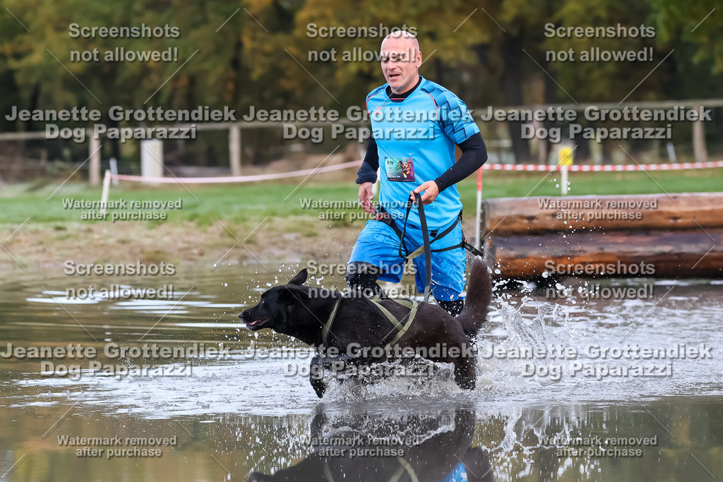 Dog Paparazzi - Strongdog 10-25-6517 | Dog Paparazzi Jeanette Grottendiek Fotografie & Videografie - Realisiert mit Pictrs.com