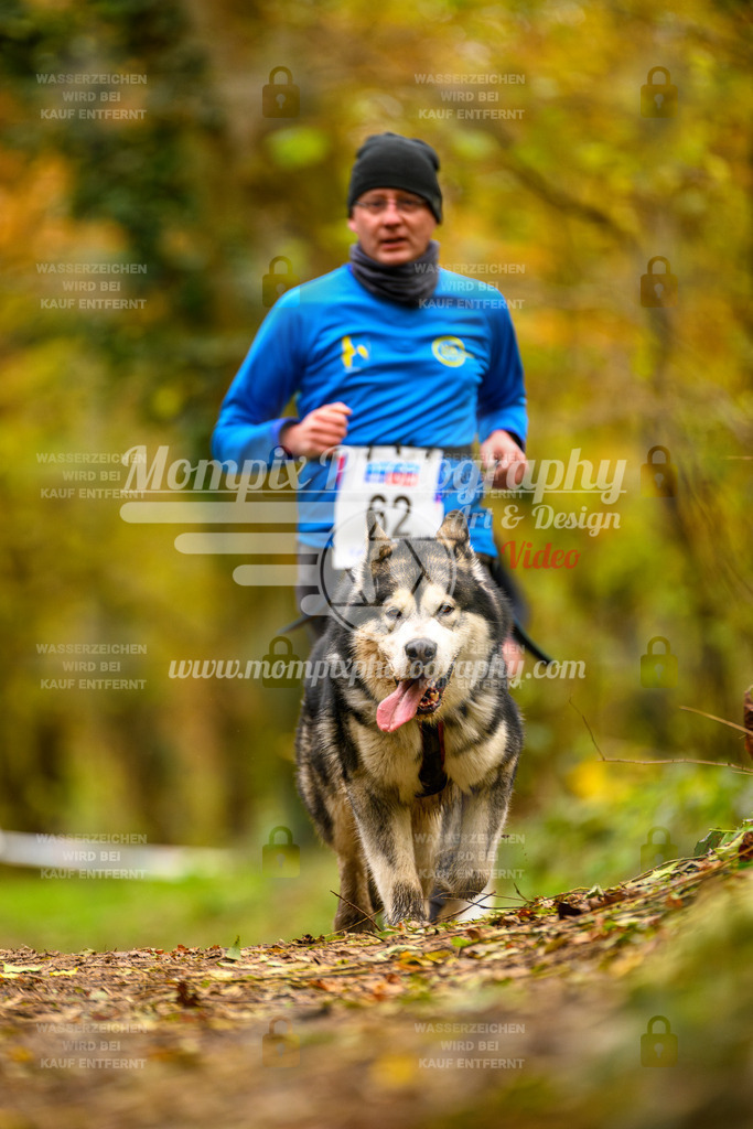 MompixPhotography_Bischwiller24_SA_Canicross-74 | PayLife