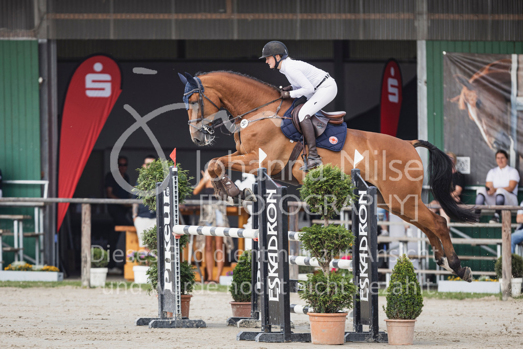 250629_PfSpTa_Stil-L2-309 | Deine schönsten Turniermomente als professionelle Fotos! Entdecke hochwertige Pferdesport-Fotografie im Online-Shop. Jetzt Fotos finden & bestellen!