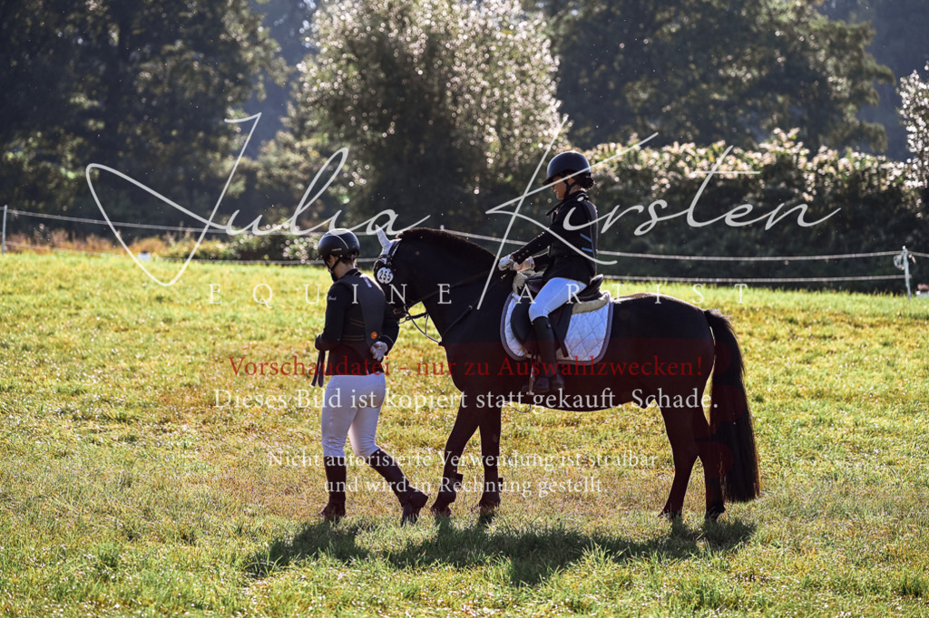 DSC_0345 | Pferde- und Turnierfotografie in Westsachsen. Pferdeportraits, Auftragszeichnungen und intuitive Kunst.