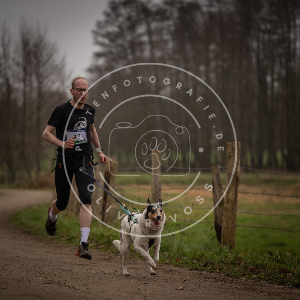 Pfotenfotografie_DV3A2765 | Hundefotografie, Tierfotograf, Pfotenfotografie, Fotoshooting Hund, Hunde Portrait, Hundesport, Hundeportraits, Heideshooting, Hunde, Sportfotograf, Hundefotograf, Turnierhundsport, THS,  - Realisiert mit Pictrs.com