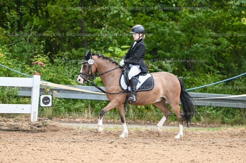 20230716_10-2_Reiter-WB Schritt - Trab - Galopp_0146 | equistock