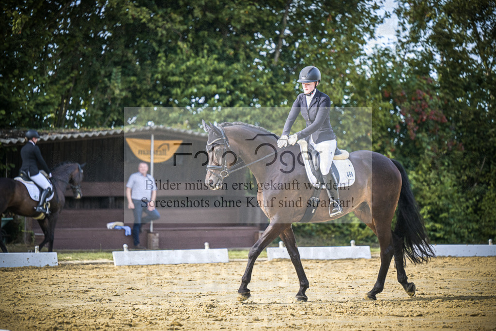 DOS_8596 | Entdecke hochwertige Reitturnierfotos von Foto Oger. Professionell, emotional und authentisch – jetzt Lieblingsmomente im Shop bestellen.Deutschlandweite Turnierfotografie. - Realisiert mit Pictrs.com