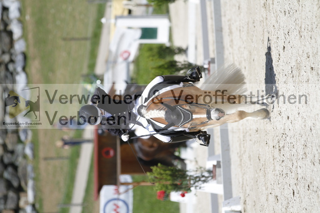_MG_5061 | equestrian-live-com
